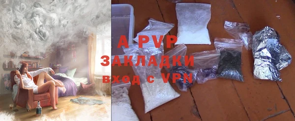 индика Беломорск