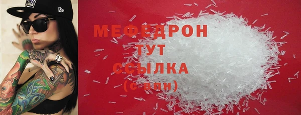 индика Беломорск