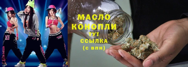 индика Беломорск