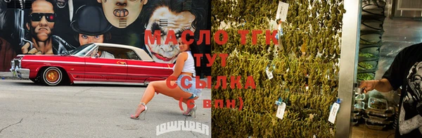 индика Беломорск