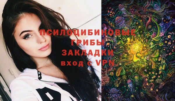 индика Беломорск
