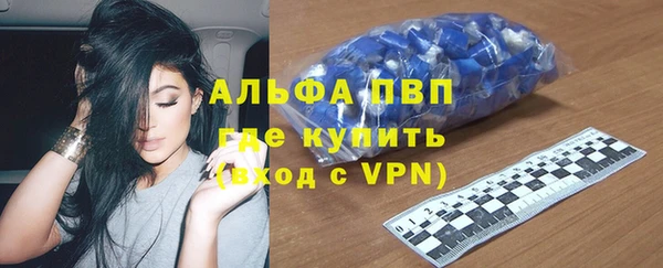 индика Беломорск