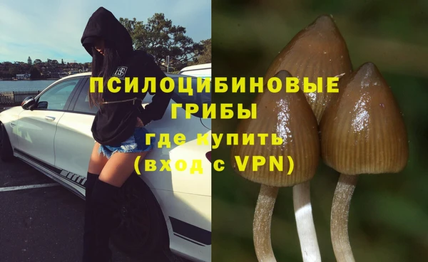 сатива Белоозёрский