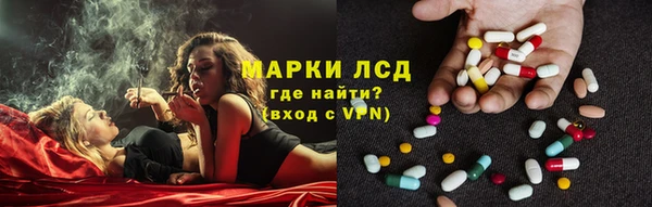 сатива Белоозёрский
